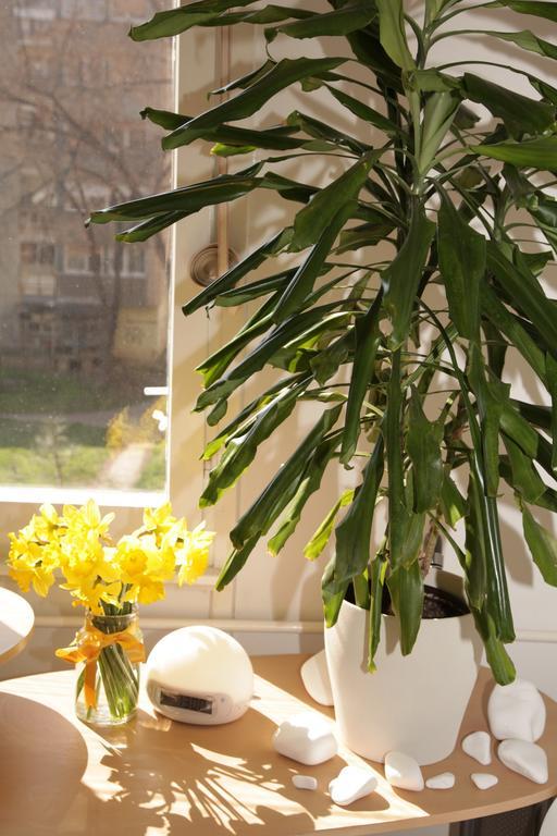 Apartment Spacious Liman Novi Sad Ngoại thất bức ảnh