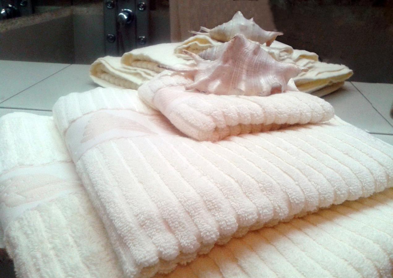 Apartment Spacious Liman Novi Sad Ngoại thất bức ảnh