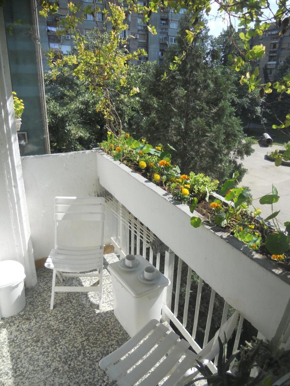 Apartment Spacious Liman Novi Sad Ngoại thất bức ảnh